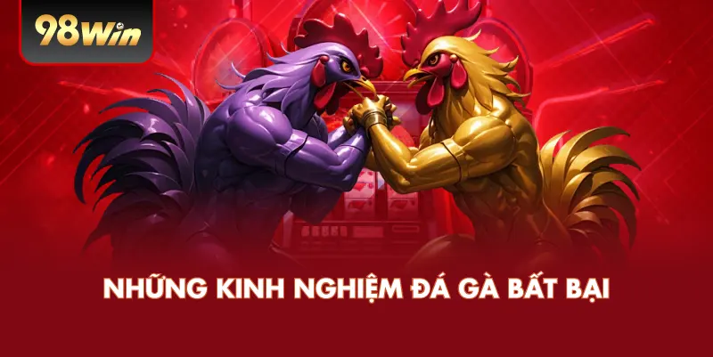 Những kinh nghiệm đá gà bất bại 